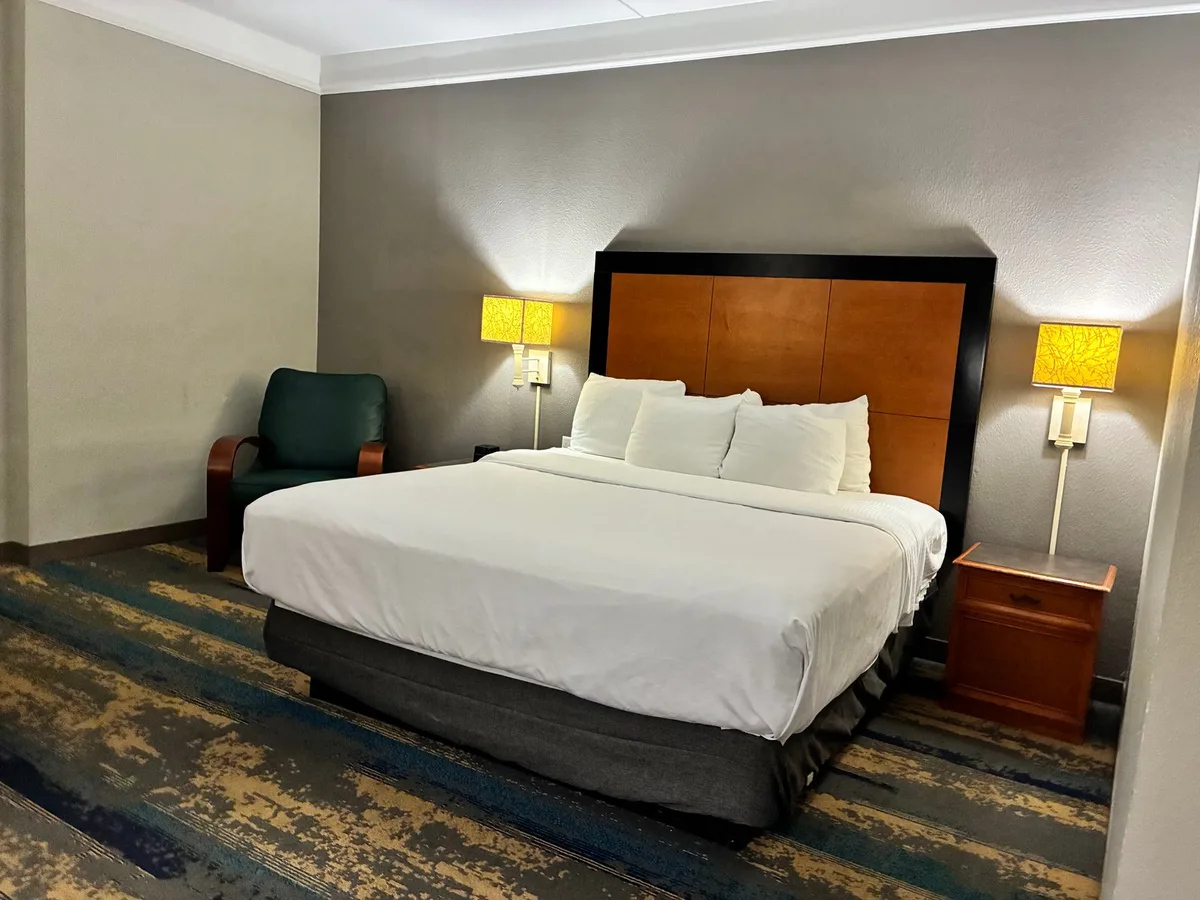 La Quinta Inn & Suites by Wyndham USF (Near Busch Gardens) — 4