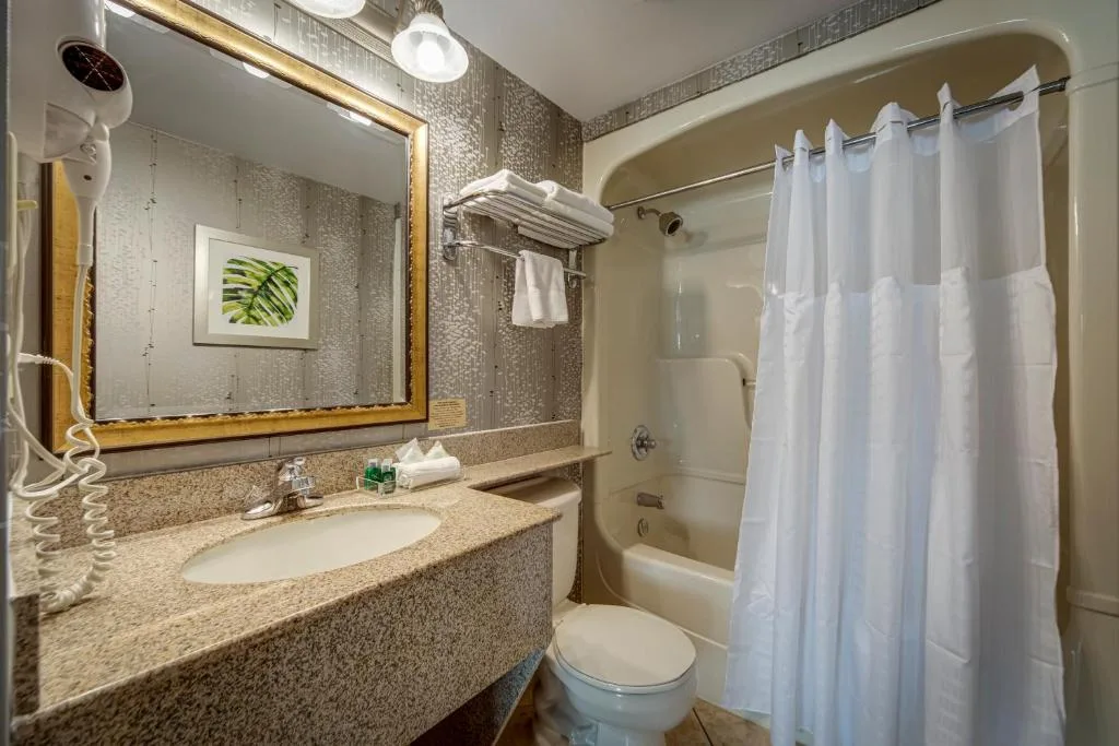 Monte Carlo Inn Vaughan Suites — 4