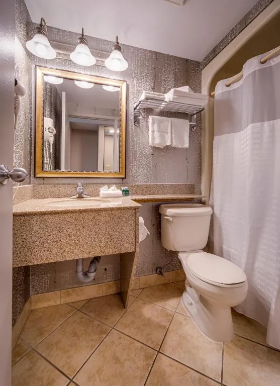 Monte Carlo Inn Vaughan Suites — 5
