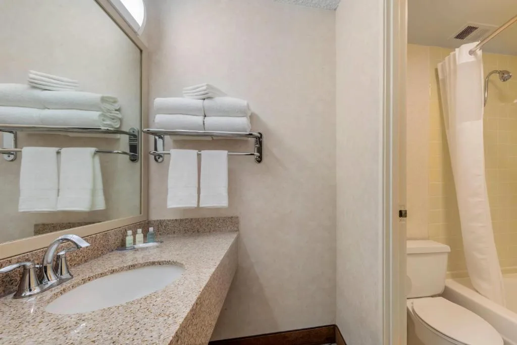 Clarion Hotel Anaheim Resort — 3