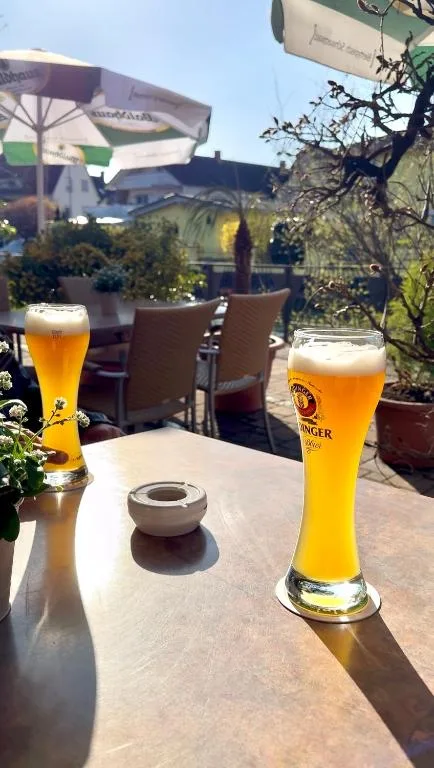 Altes Rathaus am Elz Garten — 4