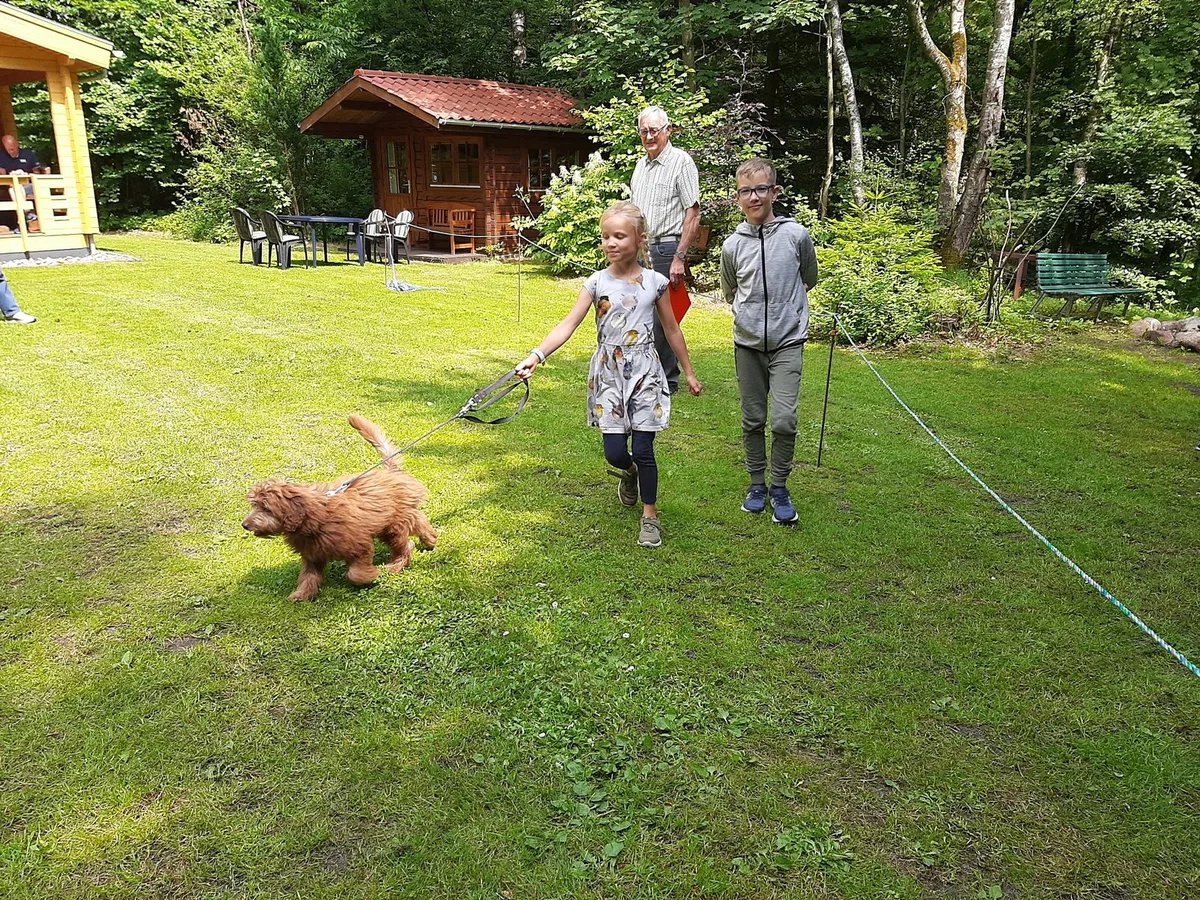 Krogager Primitiv Camping — 3
