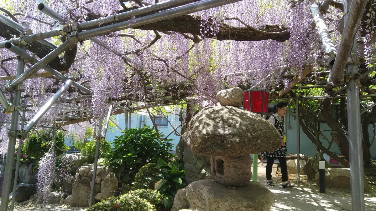 料理旅館 すし清