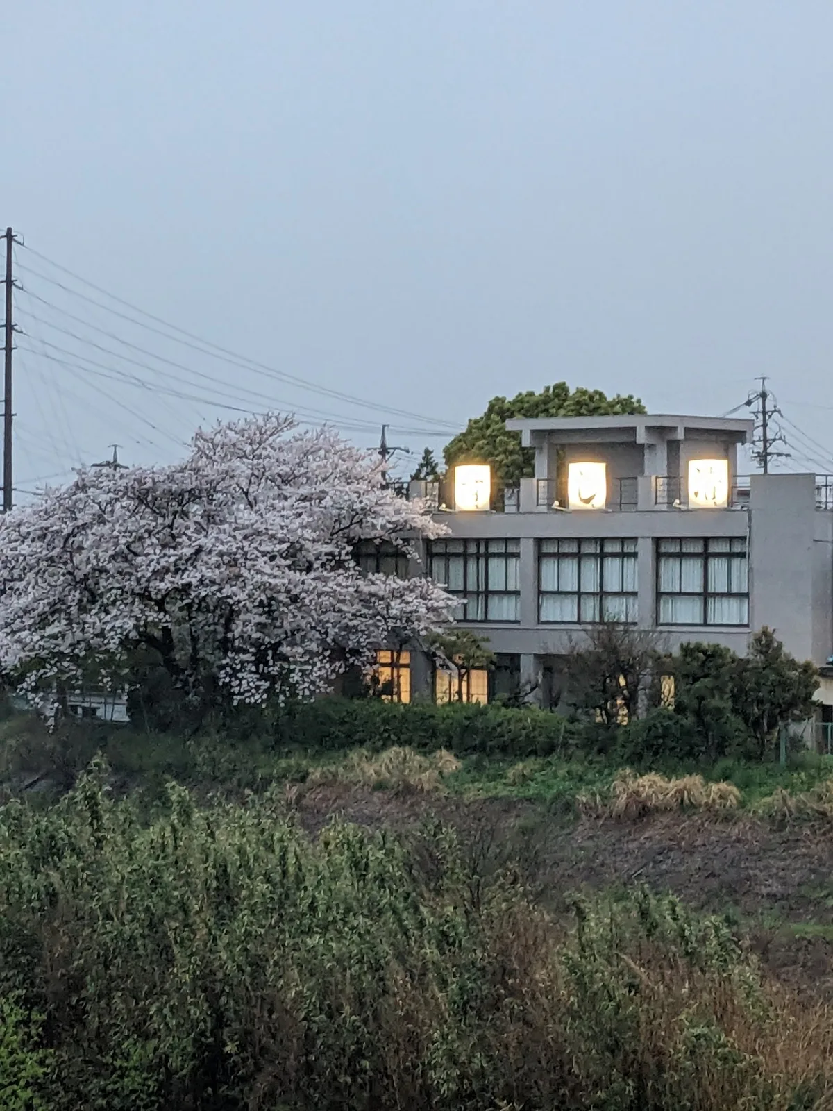 料理旅館 すし清 — 3