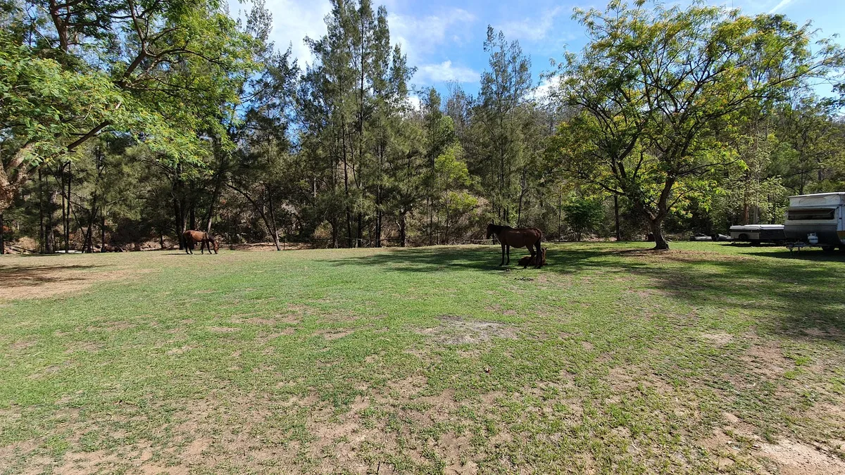 Emu Creek Retreat — 5