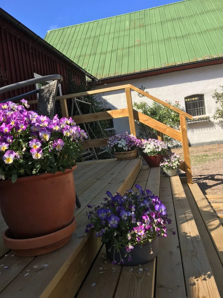 skummeslöv B & B — 3