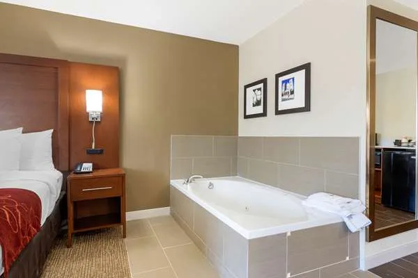 Comfort Inn & Suites Macon West