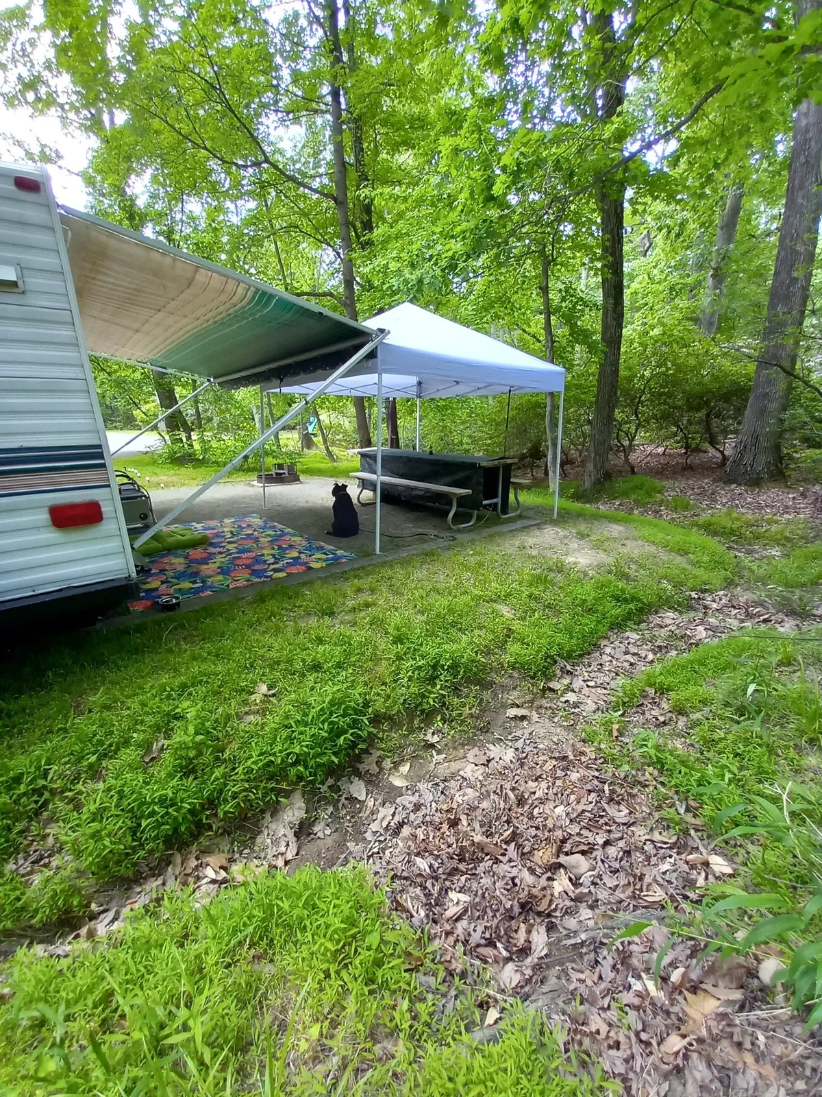 Elk Neck State Park Campground — 3
