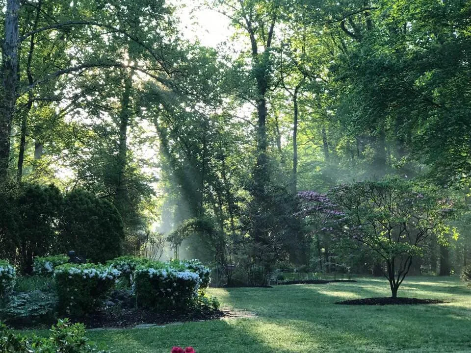 Woodland Gardens & Outdoor Events — 2