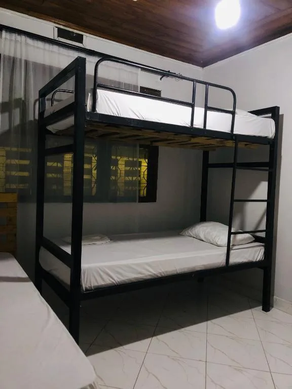 Nest Haven Homestay-Hostel photo 3