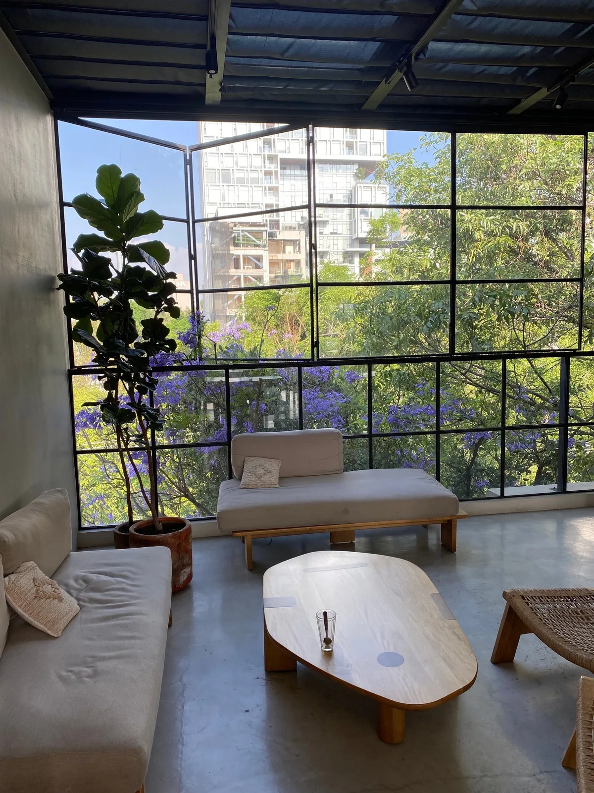 Casa Pancha photo 4