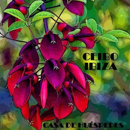 Ibiza Ciudad hero