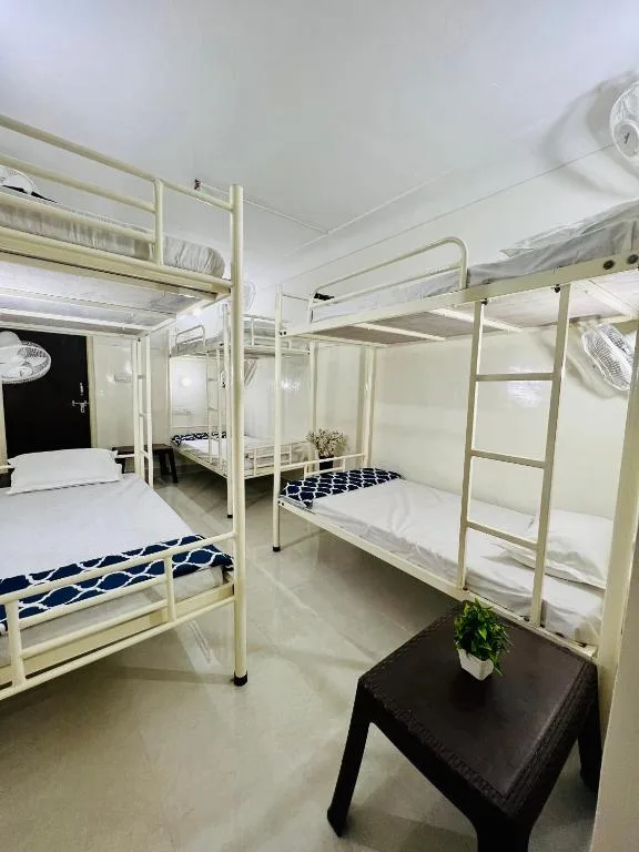 Hostel ivory photo 3