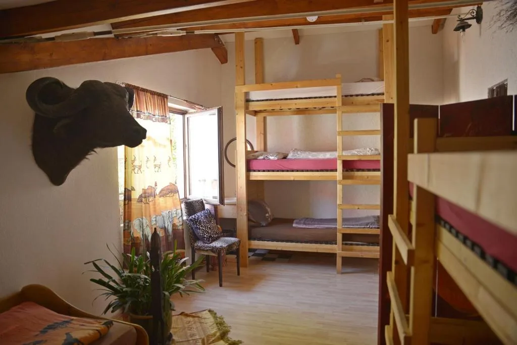 Gerry `s Backpacker photo 2