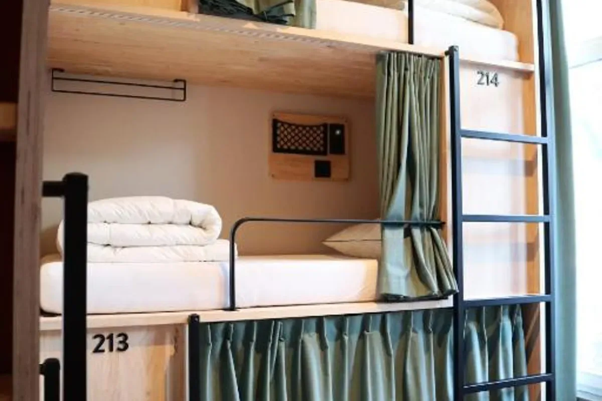 The Bee Hostel photo 4