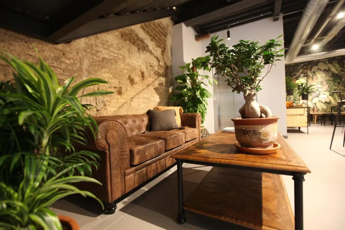 VTZ The Botanic Hostel