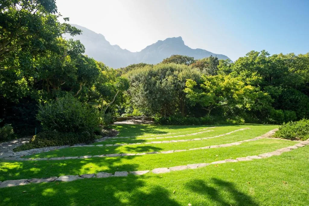 Vineyard Hotel — 1