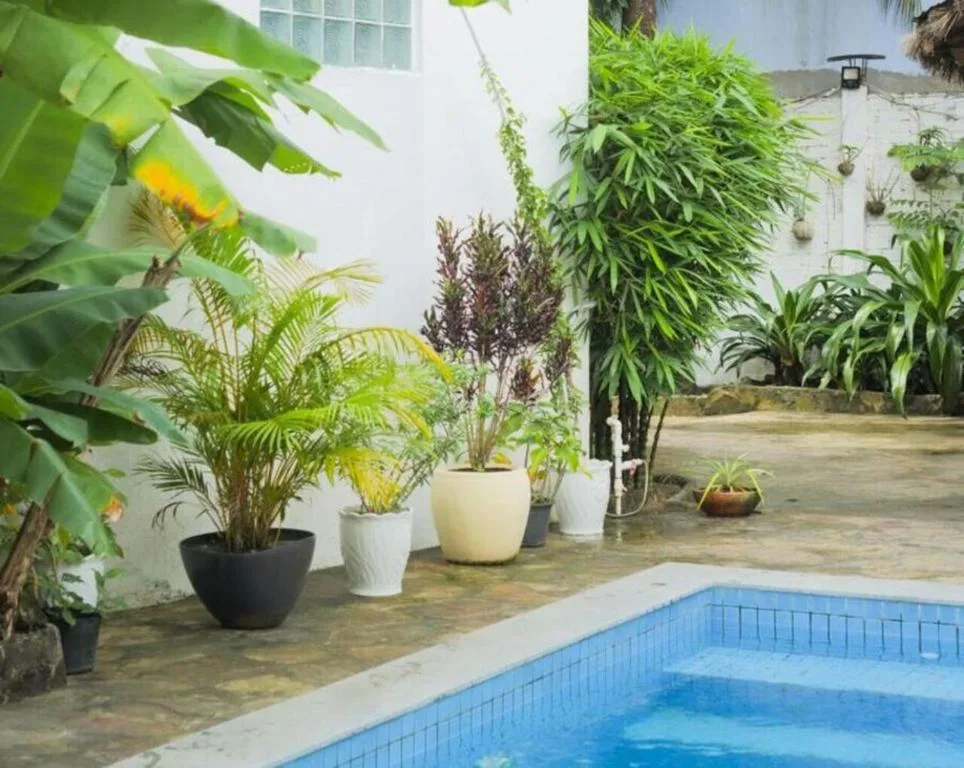 Manoha Villa — 3