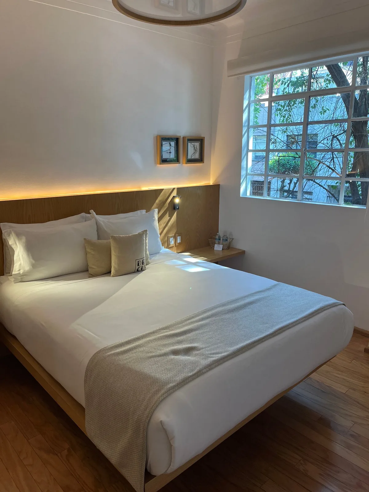 Casa Decu — 3