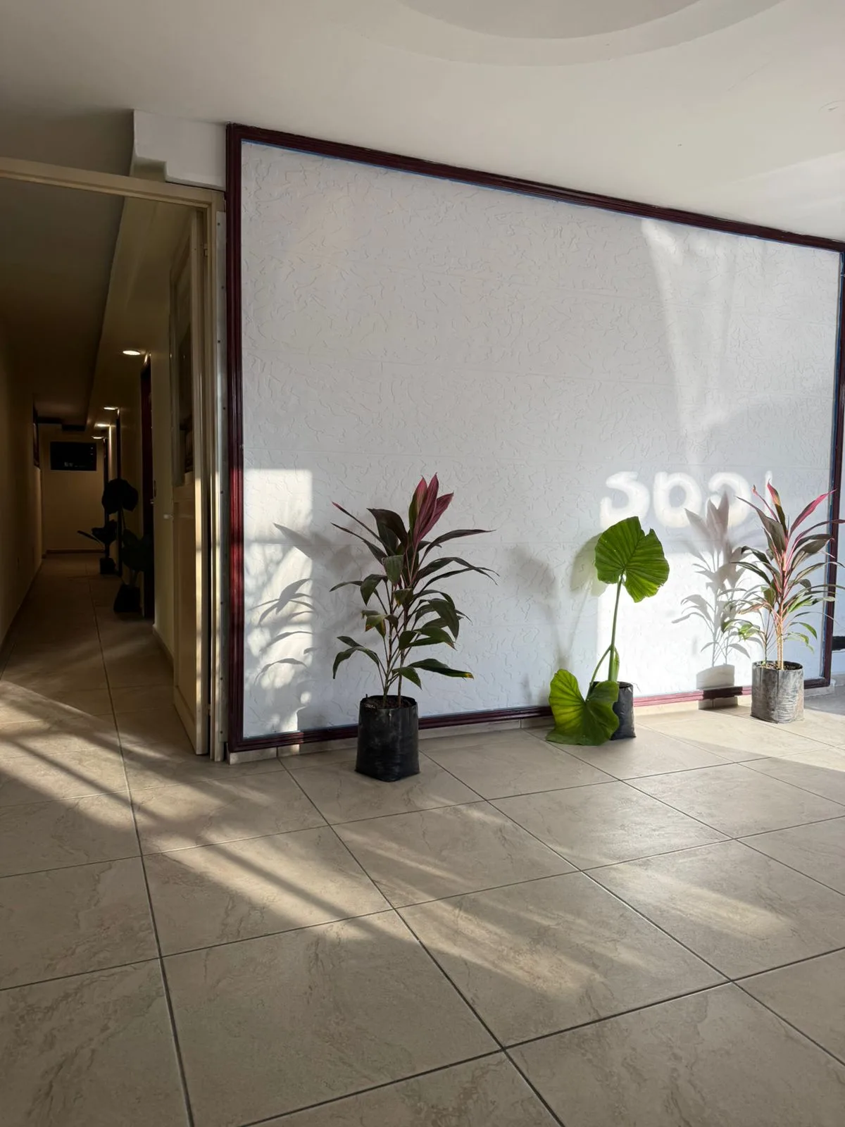Casa Areka — 2