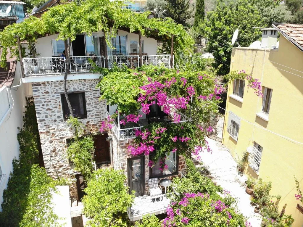 Lemon Villa Hotel - null-star hotel in Alanya, Alanya - photo 1