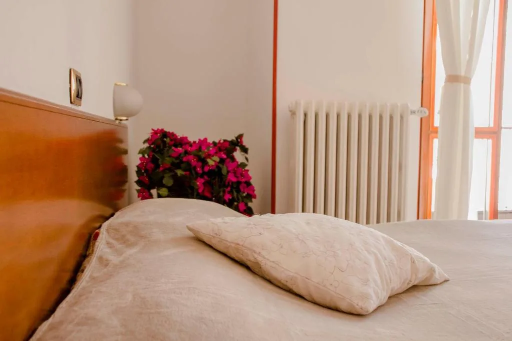 Domus Hotel - Hôtel 3 étoiles, Alessandria, Alessandria - photo 1