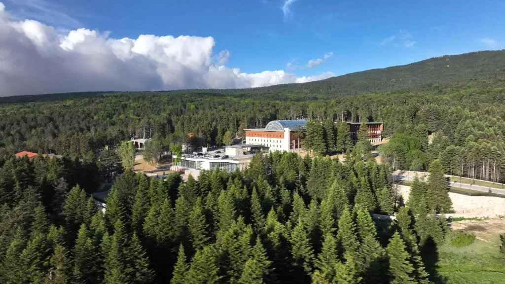 Swissotel Uludag Bursa - 5-star hotel in Bursa, Bursa - photo 1