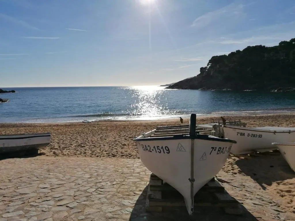 Hotel Tamariu - Hôtel 3 étoiles, Tamariu cove, north Costa Brava, Costa Brava - photo 1