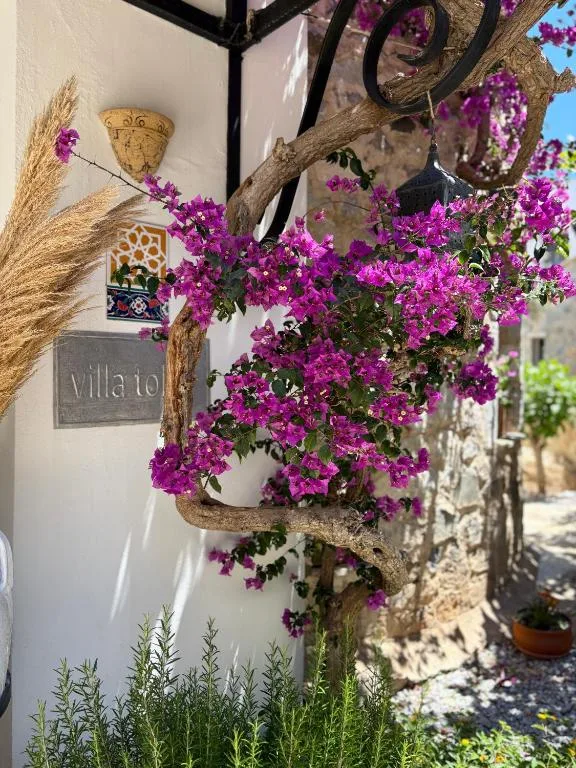 Hotel Villa Tokur - Hotel de null estrellas en Datca, Datca - photo 1