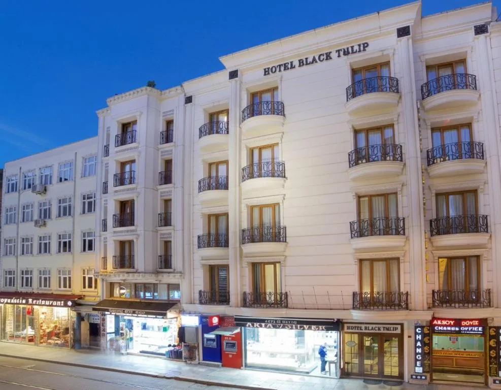 Hotel Black Tulip - Hotel de null estrellas en Istanbul, Istanbul - photo 1