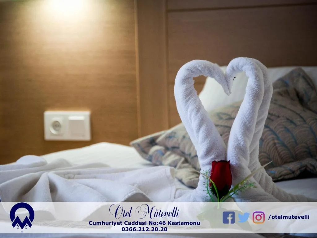 Otel Mutevelli - Hotel de 3 estrellas en Kastamonu, Kastamonu - photo 1