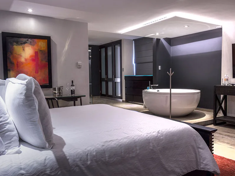 NE Hotel - Hotel de 5 estrelas em León de Los Aldama, León de Los Aldama - photo 1