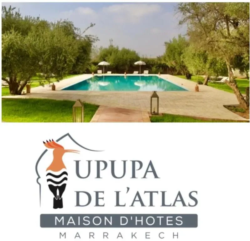Upupa de lโAtlas - 3-star hotel in Marrakech, Marrakech - photo 1
