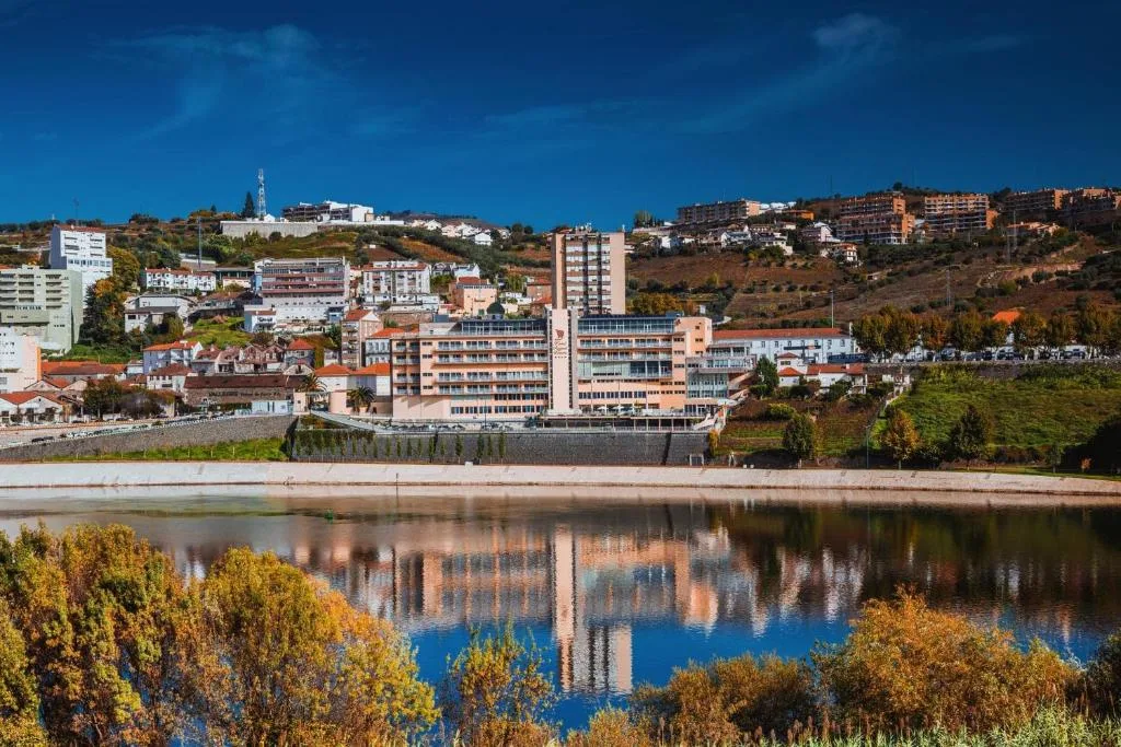 Hotel Regua Douro - 4-star hotel in Peso da Régua, Peso da Régua - photo 1