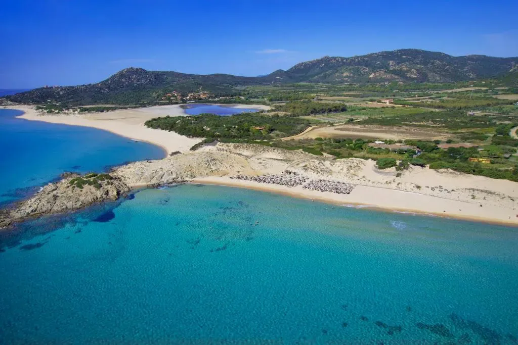 Recinto do Chia Laguna com pinhal ao fundo