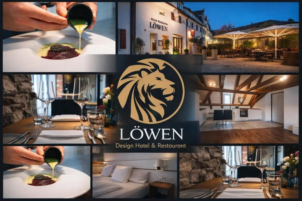 Design Hotel & Restaurant Löwen - Hôtel 4 étoiles, Ulm, Ulm - photo 1