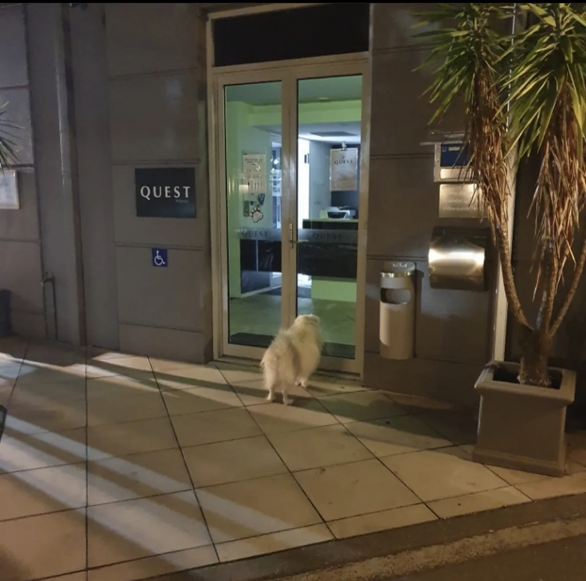 Quest Prahran — 4