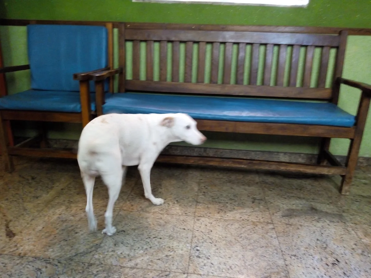 Hostel Jandira — 2