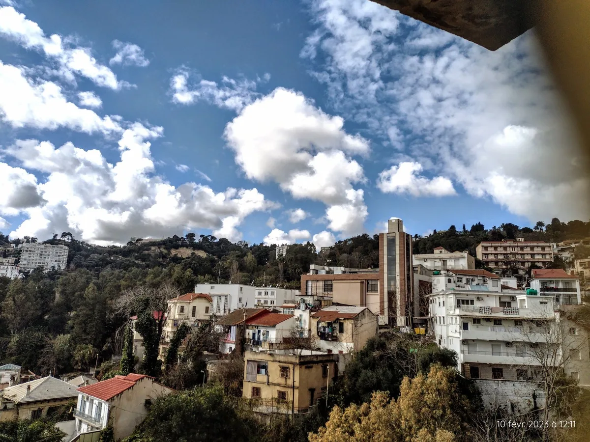 Alger center — 3