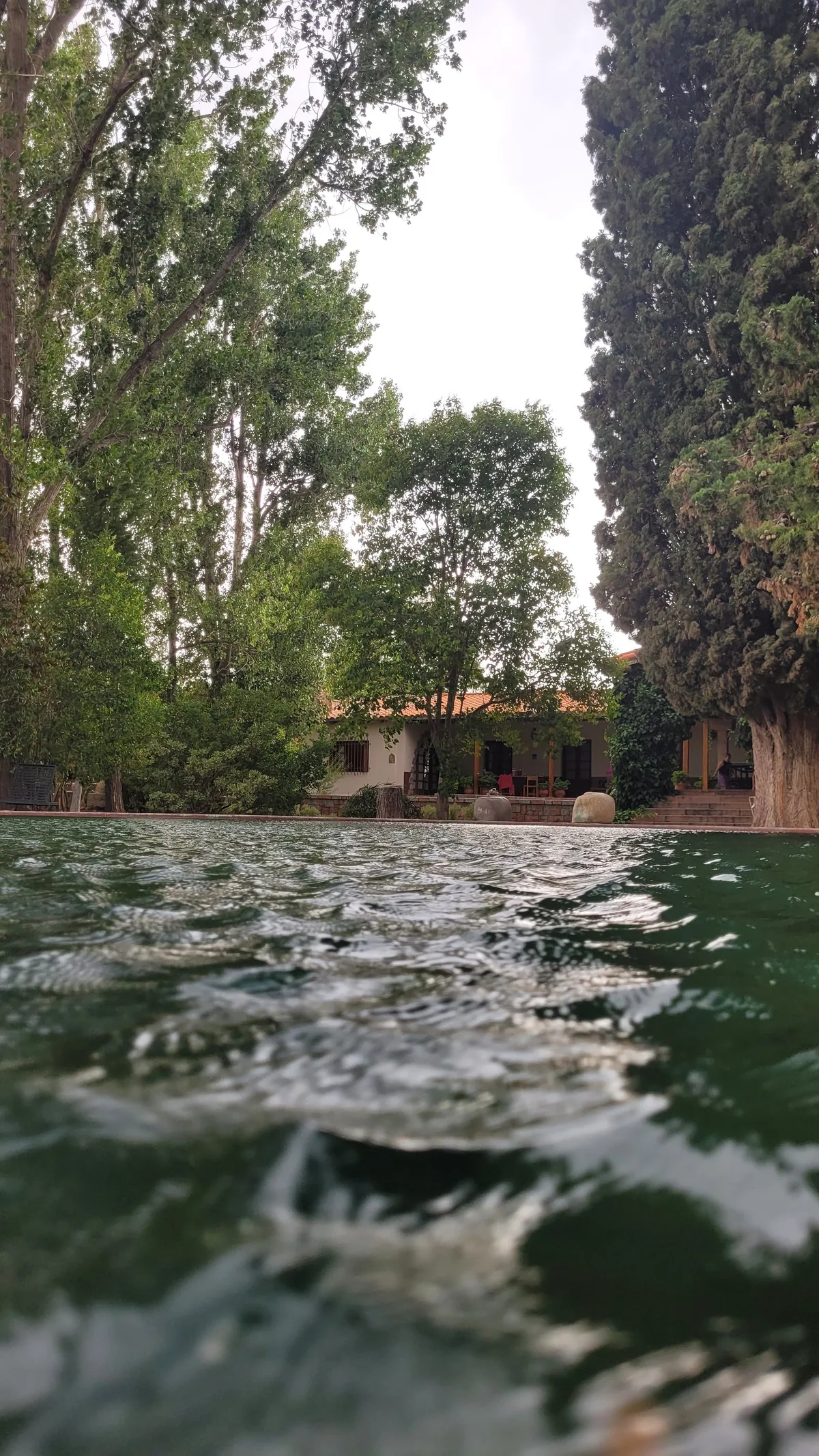 Hospedaje “La Finca” — 2