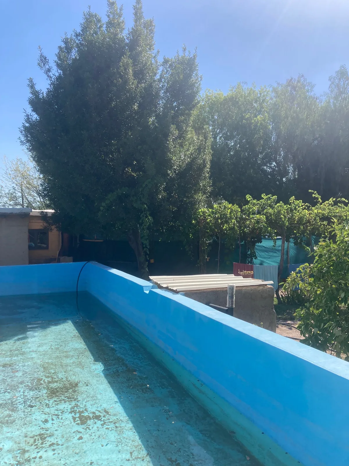 HOSTEL THE RANCH 24hs — 5