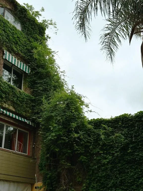 House Park Boutique - Casa de Huéspedes — 5