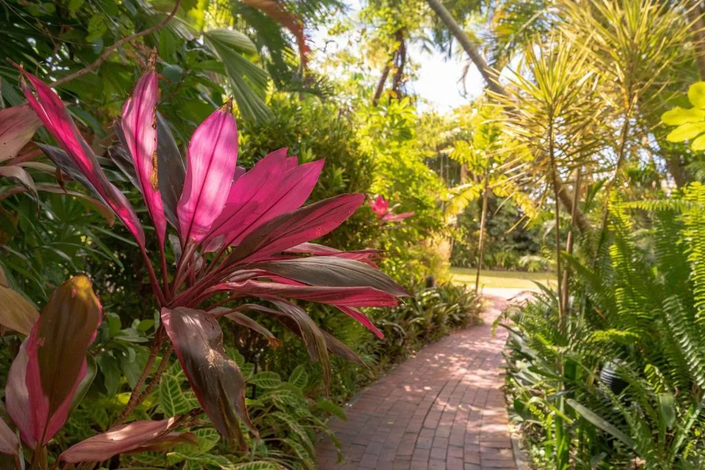 Hilton Cairns — 4