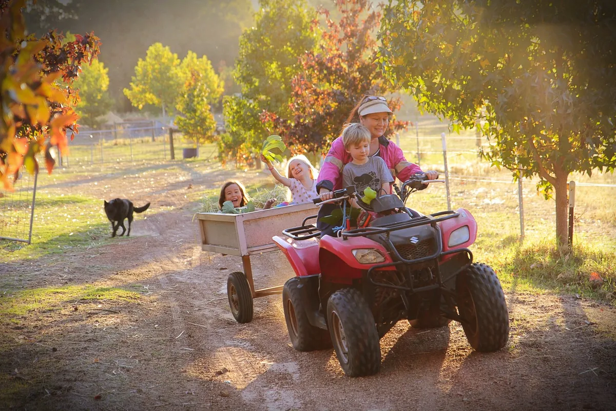 Gumleaf Cottage Farmstay — 5
