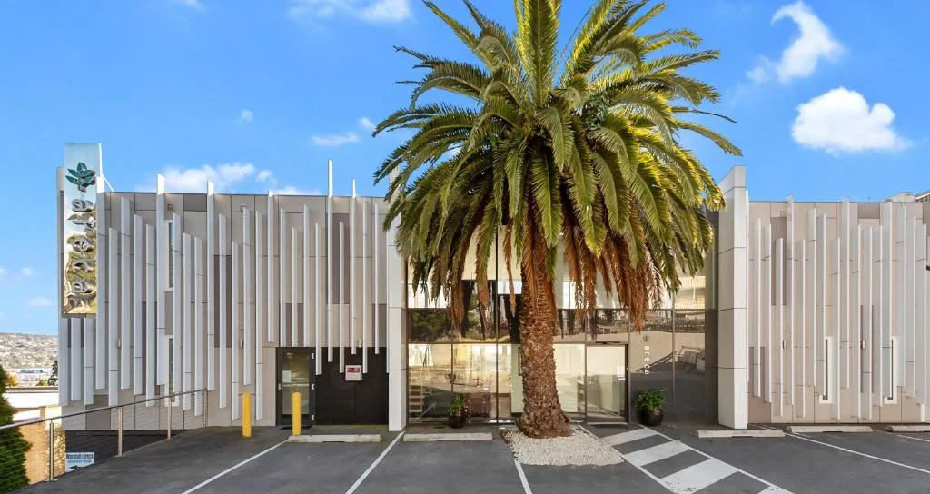 Areca Launceston — 4