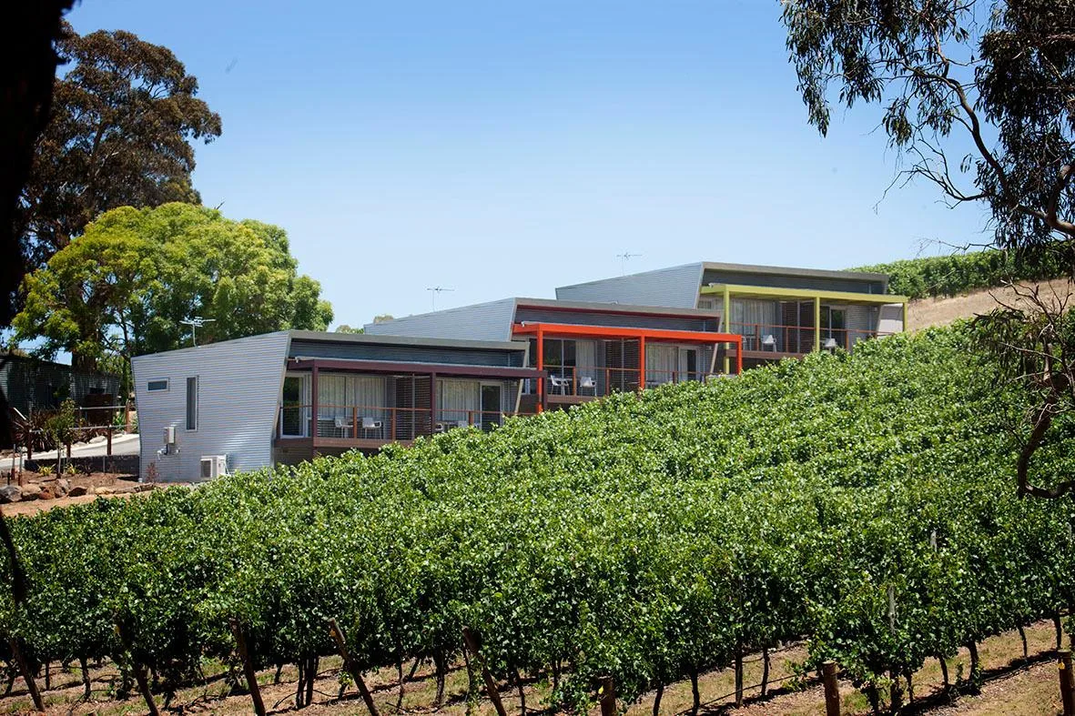 Longview Vineyard — 4