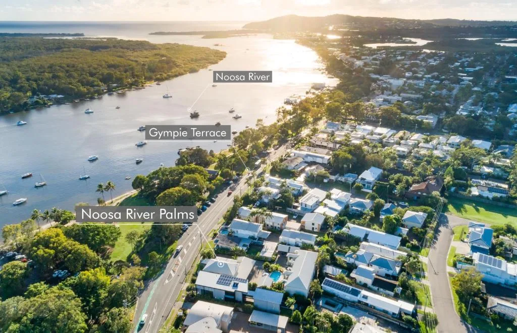 Noosa River Palms — 3