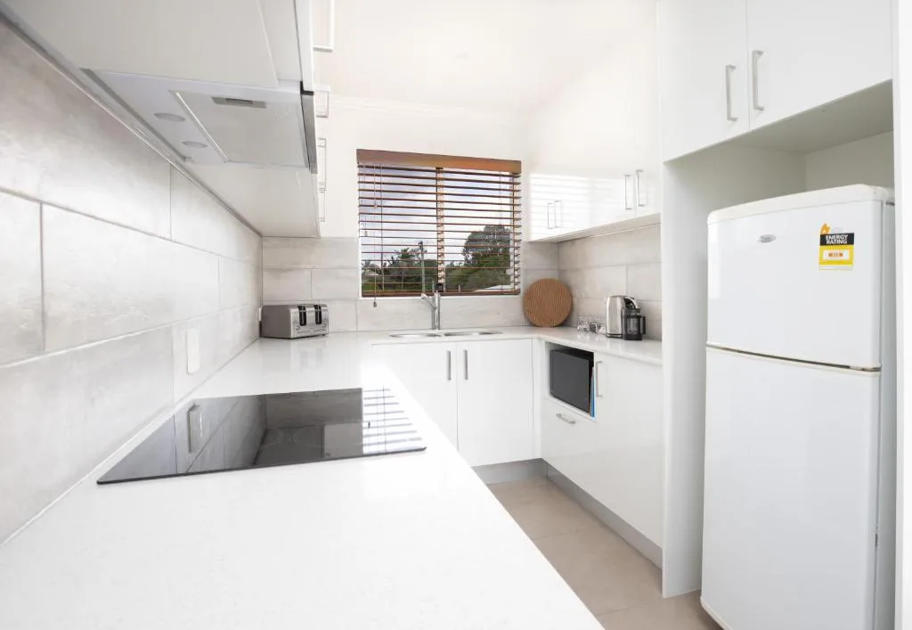 Noosa River Palms — 5