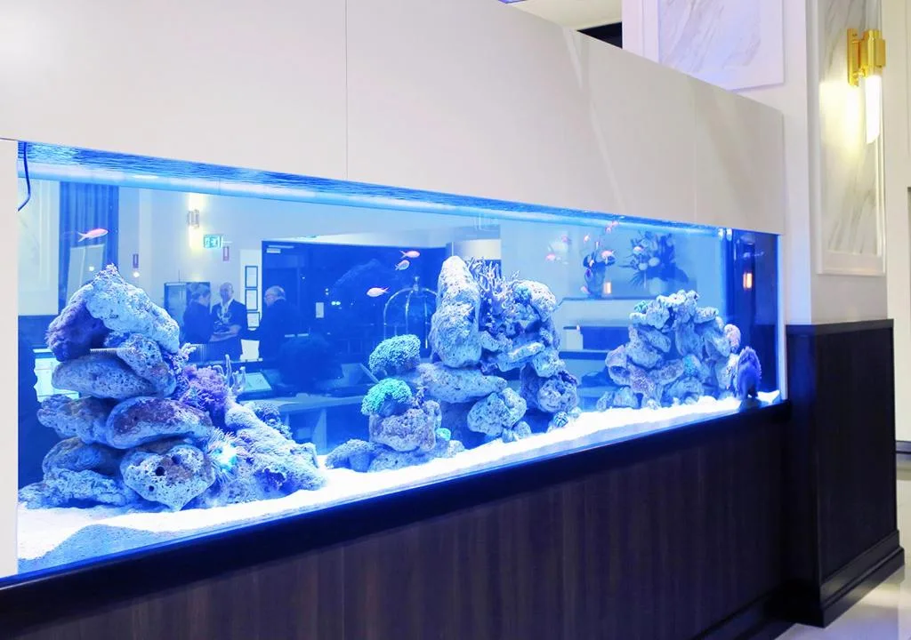 Burke and Wills Hotel Toowoomba — 3