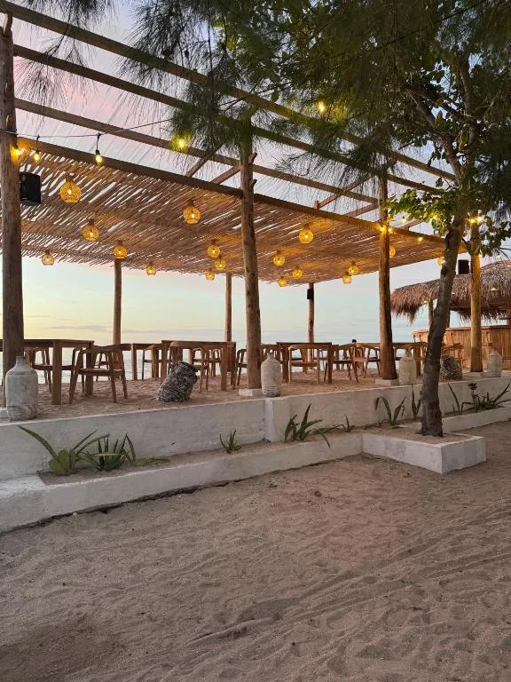Jungle Gili Air